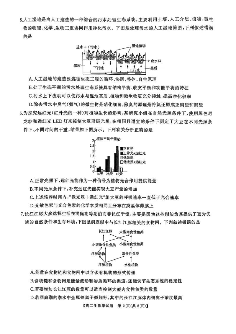 湖南省怀化市2024-2025学年高二上学期1月期末质量检测生物试卷（图片版，含解析）_2024-2025高二（7-7月题库）_2025年02月试卷_0210湖南省怀化市2024-2025学年高二上学期1月期末考试