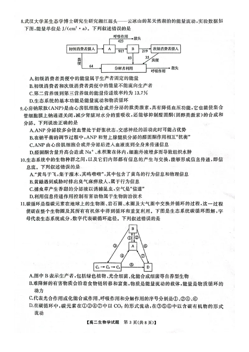 湖南省怀化市2024-2025学年高二上学期1月期末质量检测生物试卷（图片版，含解析）_2024-2025高二（7-7月题库）_2025年02月试卷_0210湖南省怀化市2024-2025学年高二上学期1月期末考试