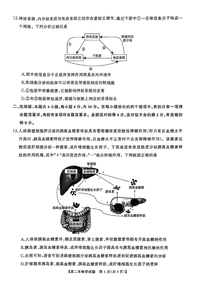 湖南省怀化市2024-2025学年高二上学期1月期末质量检测生物试卷（图片版，含解析）_2024-2025高二（7-7月题库）_2025年02月试卷_0210湖南省怀化市2024-2025学年高二上学期1月期末考试