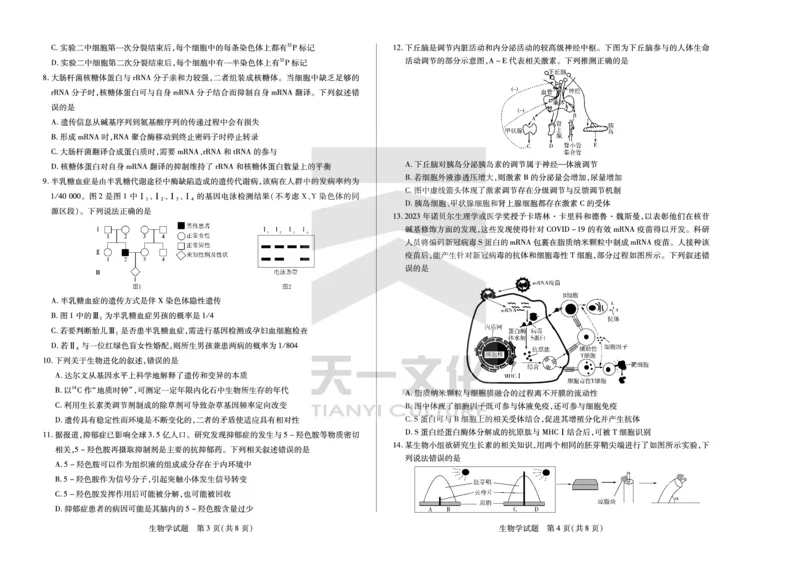 生物学安徽高三上期末质量检测试卷_2024年2月_01每日更新_06号_2024届安徽省天一大联考高三上期末考试_安徽省天一大联考2024届高三上期末考试生物