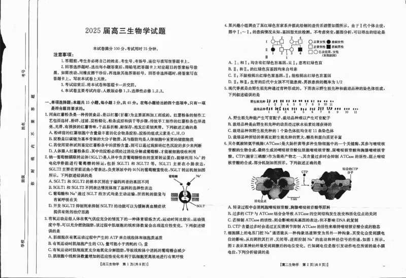 四川省金太阳2025届高三12月联考（25-289C）生物_2024-2025高三（6-6月题库）_2025年01月试卷_0101四川省金太阳2025届高三12月联考（25-289C）（全）