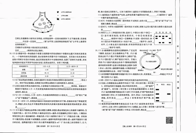 四川省金太阳2025届高三12月联考（25-289C）生物_2024-2025高三（6-6月题库）_2025年01月试卷_0101四川省金太阳2025届高三12月联考（25-289C）（全）