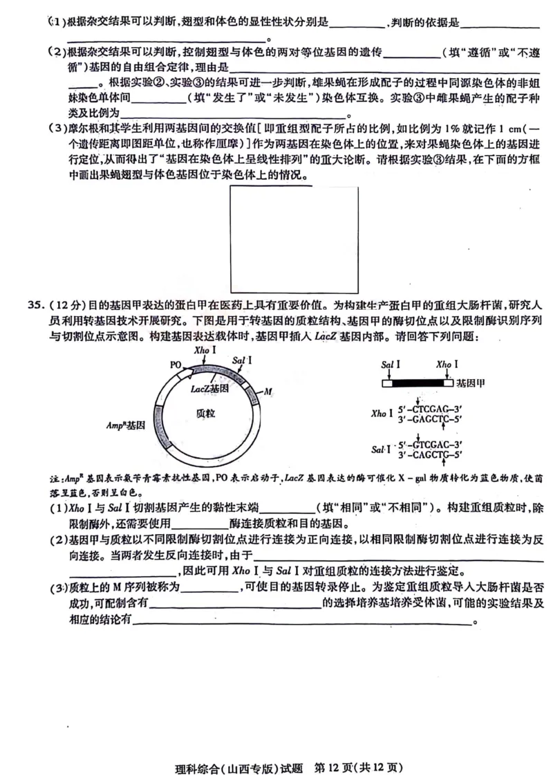理综试题_2024年4月_01按日期_10号_2024届山西天一大联考&middot;高三阶段性测试（定位）_2024山西天一大联考&middot;高三阶段性测试（定位）理科综合试题+答案