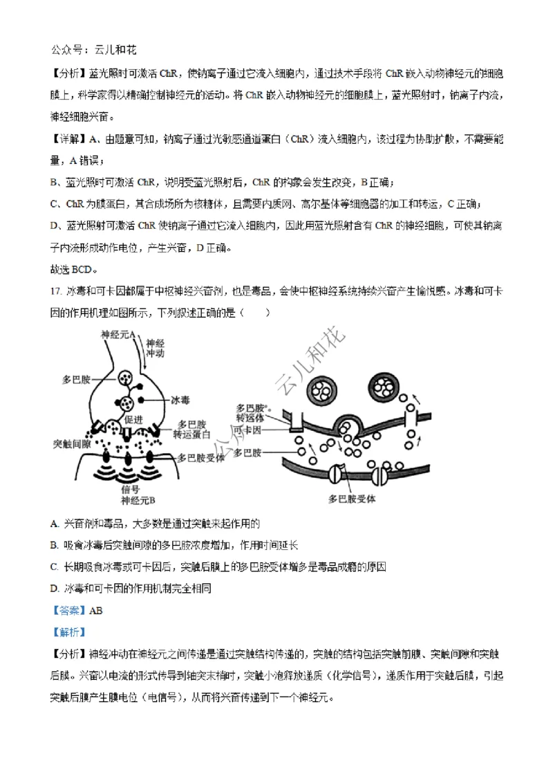 河北省邢台市2024-2025学年高二上学期第一次月考生物试题Word版含解析_2024-2025高二（7-7月题库）_2024年12月试卷_1227河北省邢台市2024-2025学年高二上学期第一次月考
