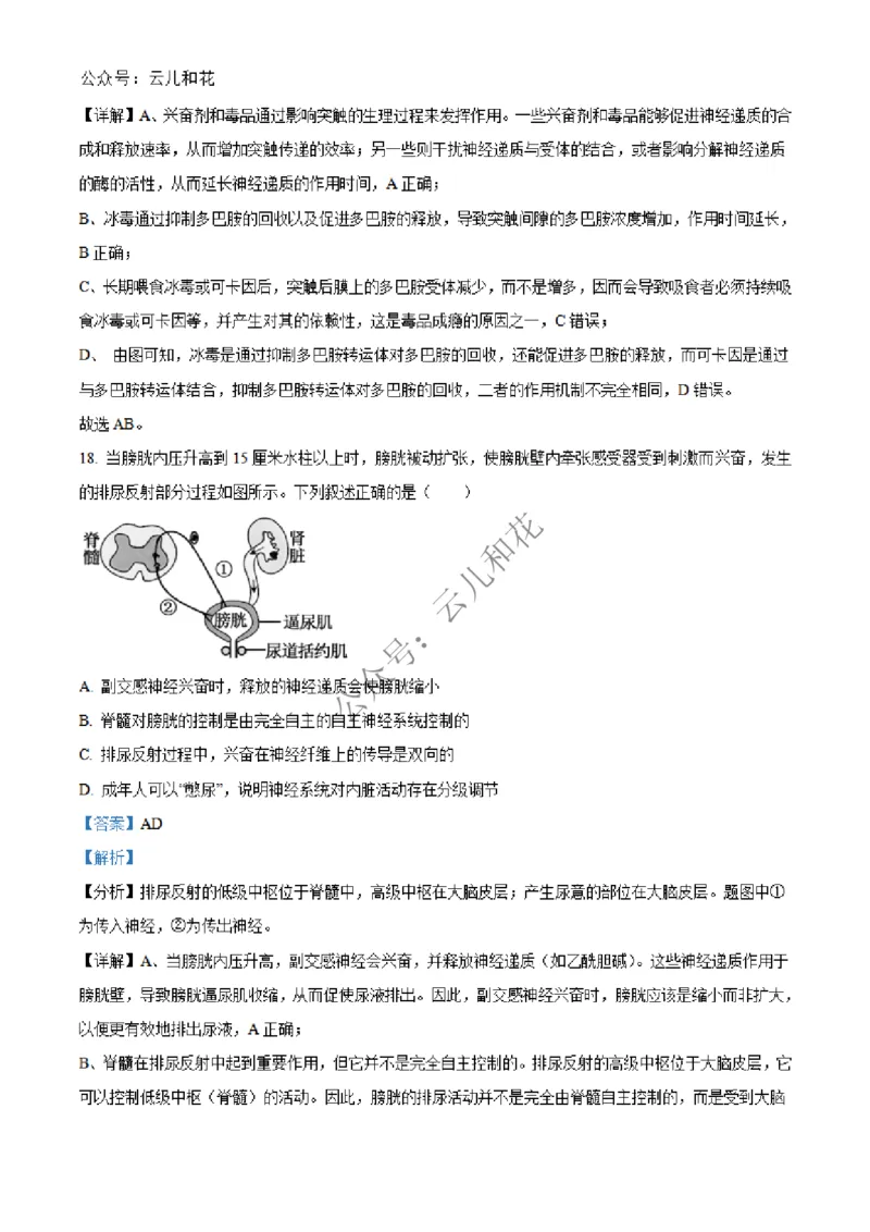 河北省邢台市2024-2025学年高二上学期第一次月考生物试题Word版含解析_2024-2025高二（7-7月题库）_2024年12月试卷_1227河北省邢台市2024-2025学年高二上学期第一次月考