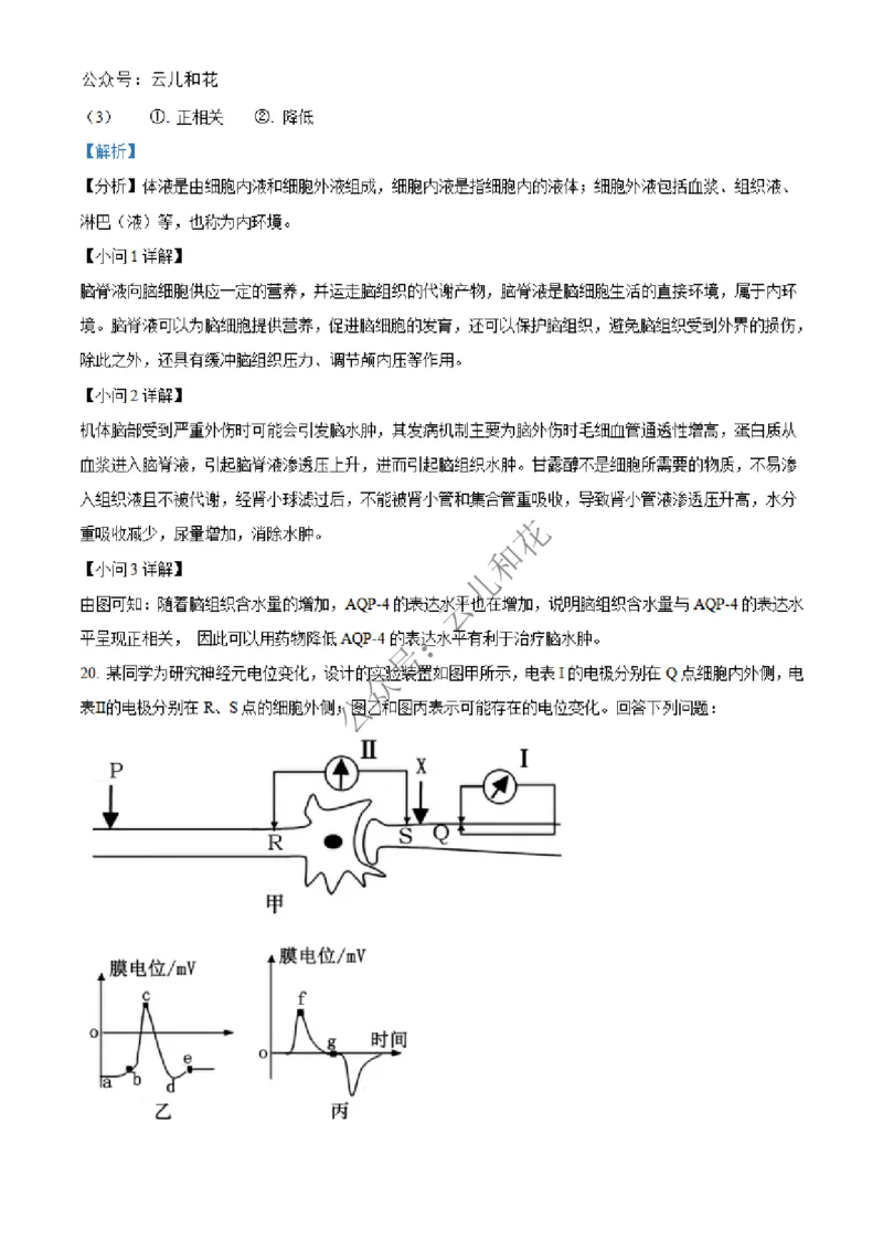 河北省邢台市2024-2025学年高二上学期第一次月考生物试题Word版含解析_2024-2025高二（7-7月题库）_2024年12月试卷_1227河北省邢台市2024-2025学年高二上学期第一次月考