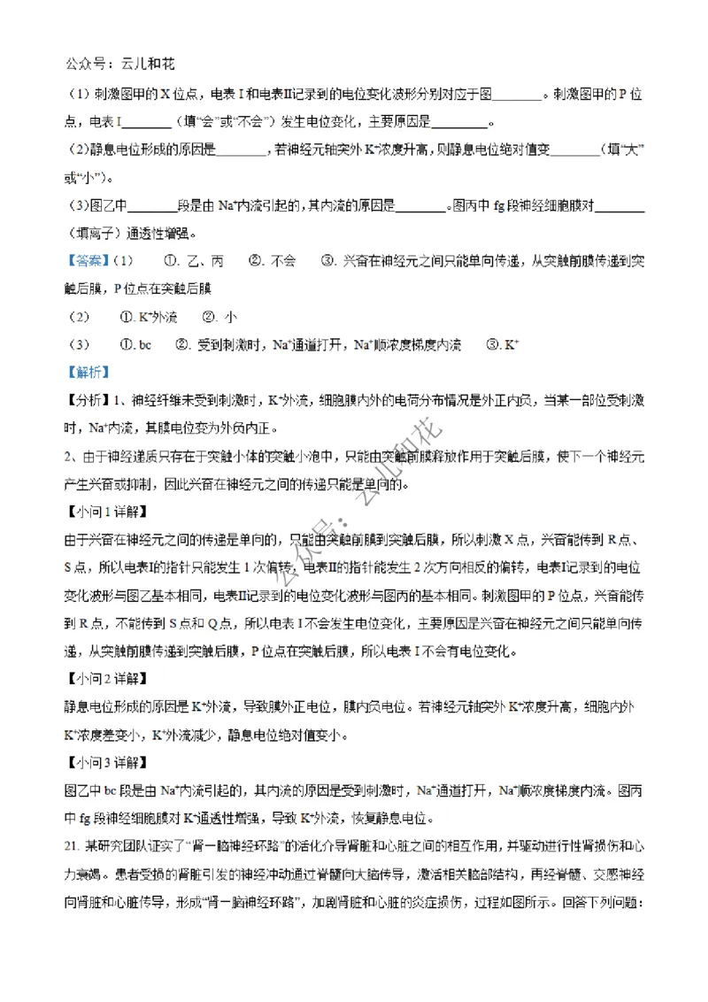 河北省邢台市2024-2025学年高二上学期第一次月考生物试题Word版含解析_2024-2025高二（7-7月题库）_2024年12月试卷_1227河北省邢台市2024-2025学年高二上学期第一次月考