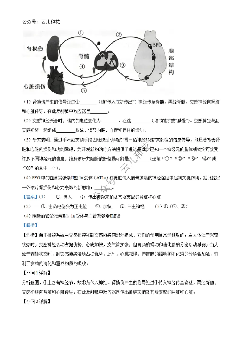 河北省邢台市2024-2025学年高二上学期第一次月考生物试题Word版含解析_2024-2025高二（7-7月题库）_2024年12月试卷_1227河北省邢台市2024-2025学年高二上学期第一次月考