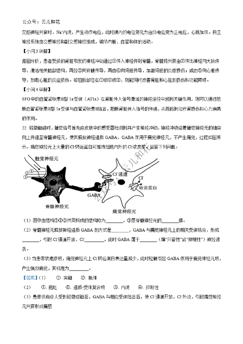 河北省邢台市2024-2025学年高二上学期第一次月考生物试题Word版含解析_2024-2025高二（7-7月题库）_2024年12月试卷_1227河北省邢台市2024-2025学年高二上学期第一次月考