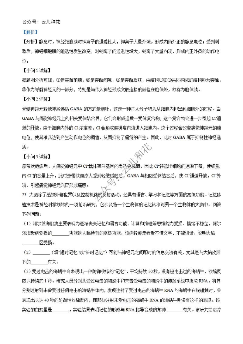 河北省邢台市2024-2025学年高二上学期第一次月考生物试题Word版含解析_2024-2025高二（7-7月题库）_2024年12月试卷_1227河北省邢台市2024-2025学年高二上学期第一次月考