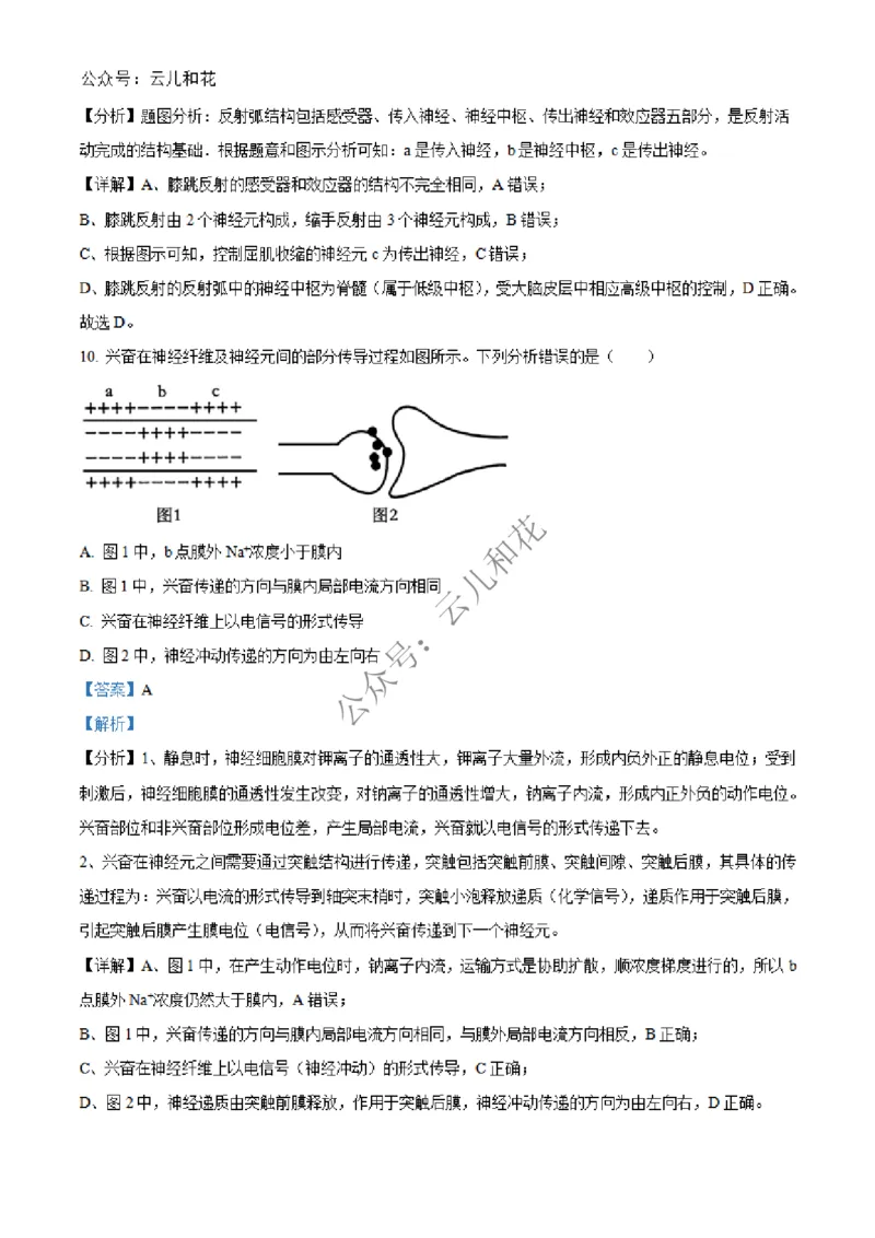 河北省邢台市2024-2025学年高二上学期第一次月考生物试题Word版含解析_2024-2025高二（7-7月题库）_2024年12月试卷_1227河北省邢台市2024-2025学年高二上学期第一次月考