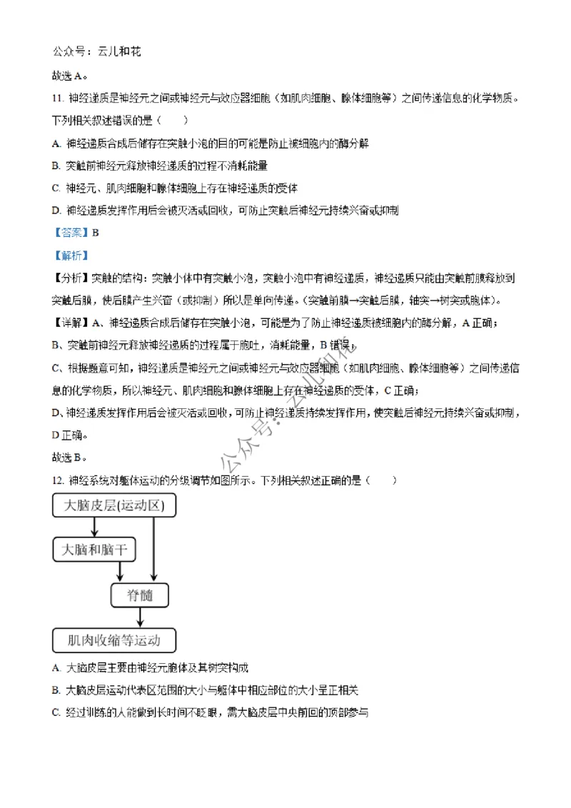 河北省邢台市2024-2025学年高二上学期第一次月考生物试题Word版含解析_2024-2025高二（7-7月题库）_2024年12月试卷_1227河北省邢台市2024-2025学年高二上学期第一次月考