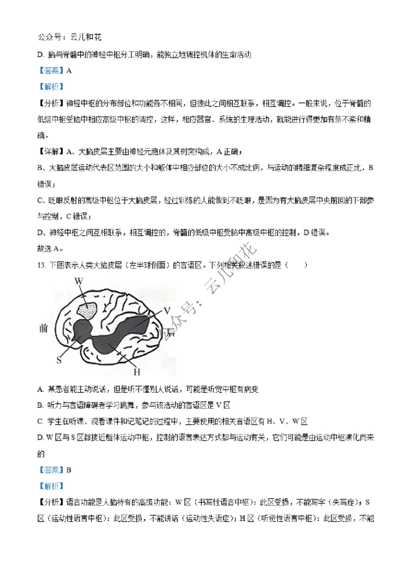 河北省邢台市2024-2025学年高二上学期第一次月考生物试题Word版含解析_2024-2025高二（7-7月题库）_2024年12月试卷_1227河北省邢台市2024-2025学年高二上学期第一次月考