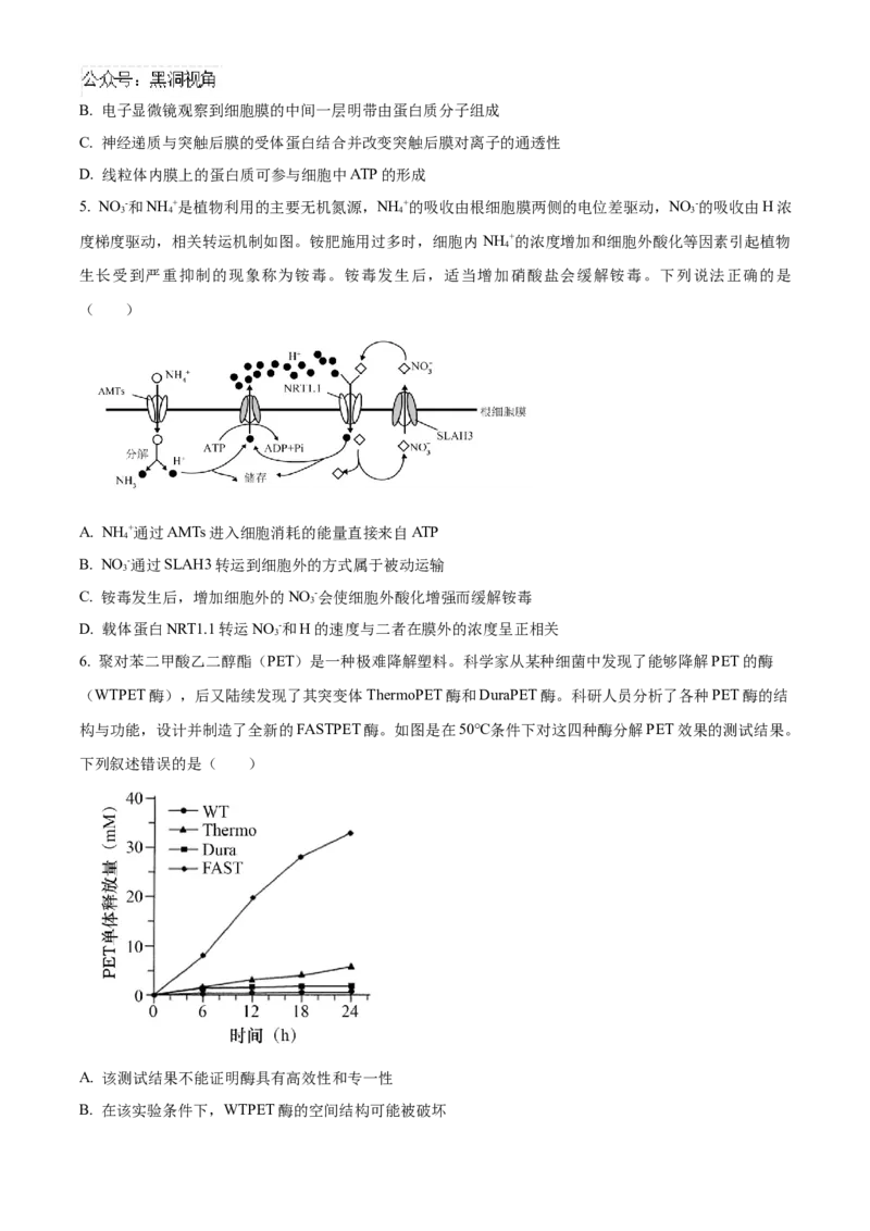 四川省成都市成华区成都列五中学2024-2025学年高三上学期9月月考生物试题Word版无答案_2024-2025高三（6-6月题库）_2024年10月试卷_1010四川省成都列五中学2024-2025学年高三上学期9月月考