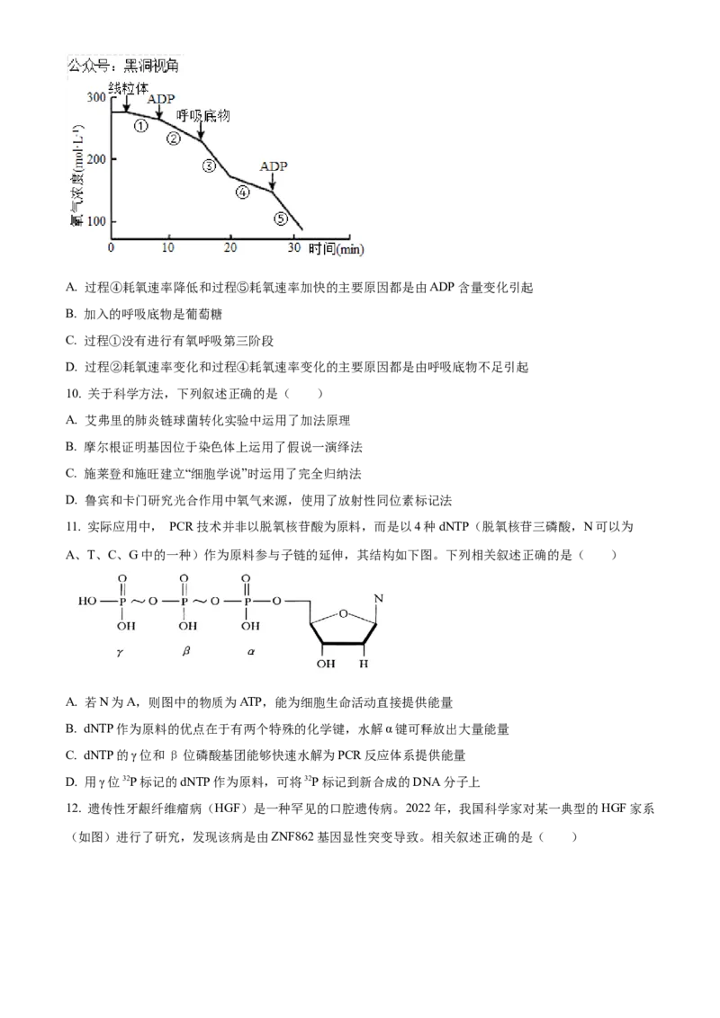 四川省成都市成华区成都列五中学2024-2025学年高三上学期9月月考生物试题Word版无答案_2024-2025高三（6-6月题库）_2024年10月试卷_1010四川省成都列五中学2024-2025学年高三上学期9月月考