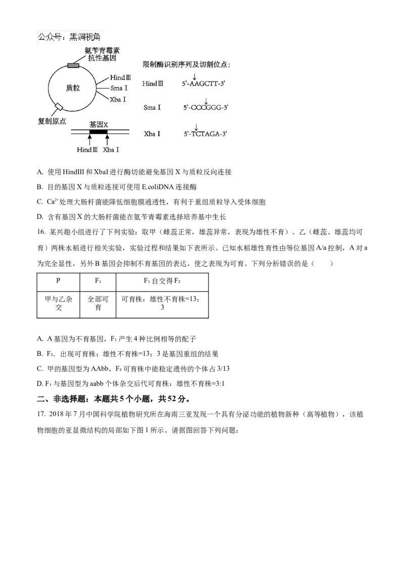 四川省成都市成华区成都列五中学2024-2025学年高三上学期9月月考生物试题Word版无答案_2024-2025高三（6-6月题库）_2024年10月试卷_1010四川省成都列五中学2024-2025学年高三上学期9月月考