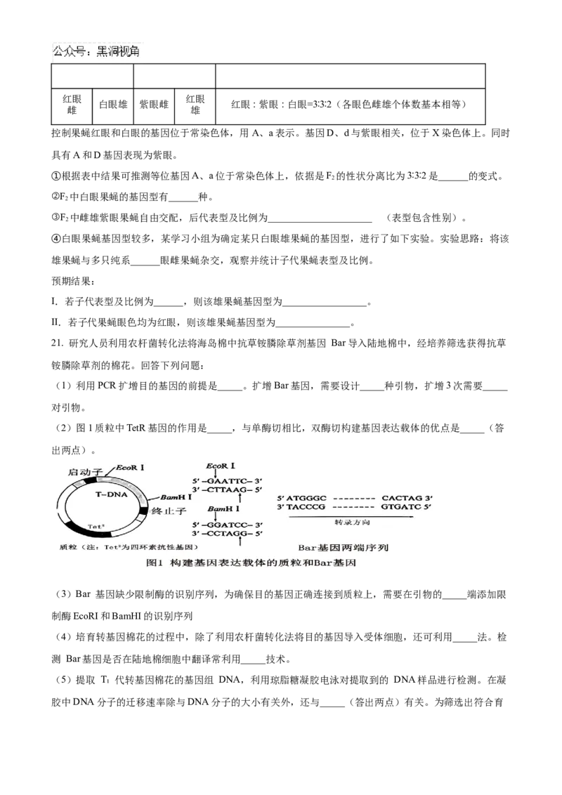 四川省成都市成华区成都列五中学2024-2025学年高三上学期9月月考生物试题Word版无答案_2024-2025高三（6-6月题库）_2024年10月试卷_1010四川省成都列五中学2024-2025学年高三上学期9月月考