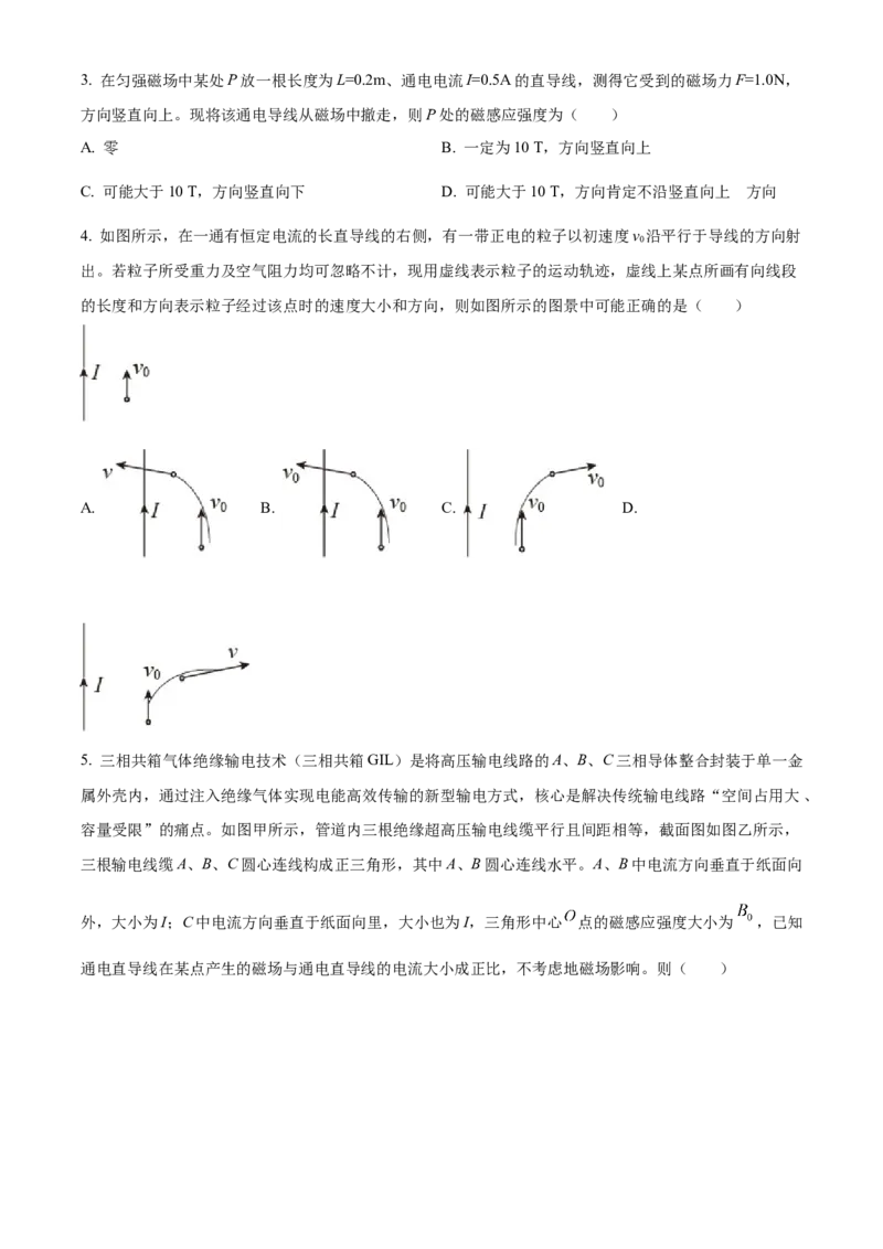 湖北省武昌实验中学2025-2026学年高二上学期12月阶段性检测物理试题（原卷版）_2024-2025高二（7-7月题库）_2026年1月高二_260114湖北省武汉市武昌实验中学2025-2026学年高二上学期12月月考
