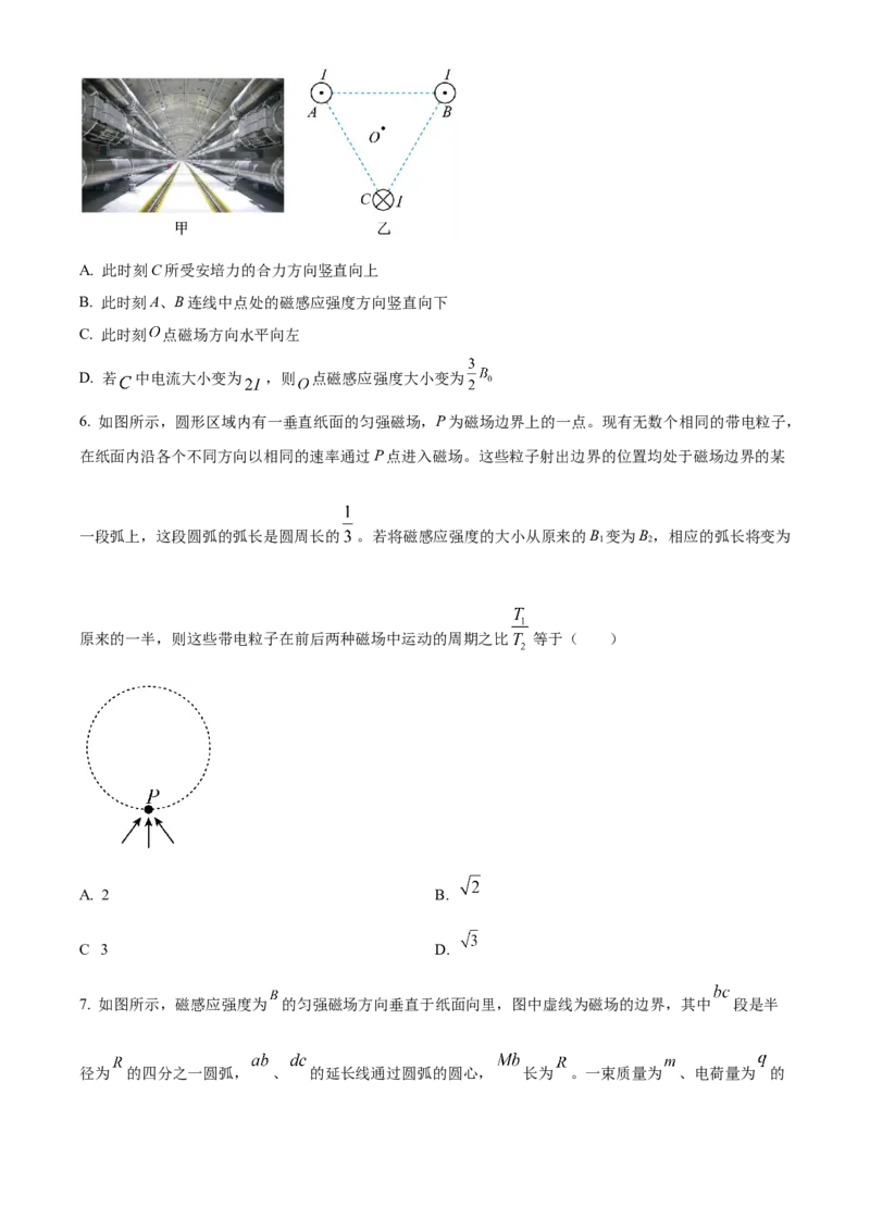 湖北省武昌实验中学2025-2026学年高二上学期12月阶段性检测物理试题（原卷版）_2024-2025高二（7-7月题库）_2026年1月高二_260114湖北省武汉市武昌实验中学2025-2026学年高二上学期12月月考