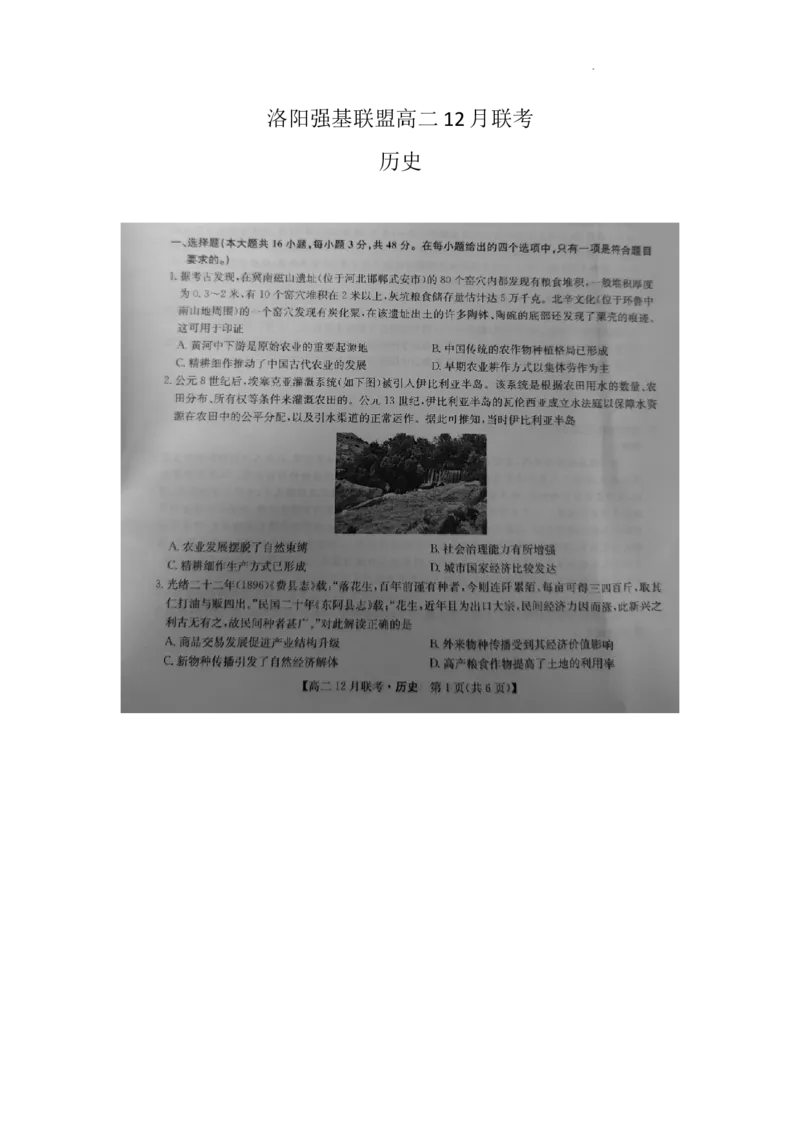 洛阳强基联盟高二12月联考历史_2024-2025高二（7-7月题库）_2024年12月试卷_1229河南省洛阳市强基联盟2024-2025学年高二上学期12月月考