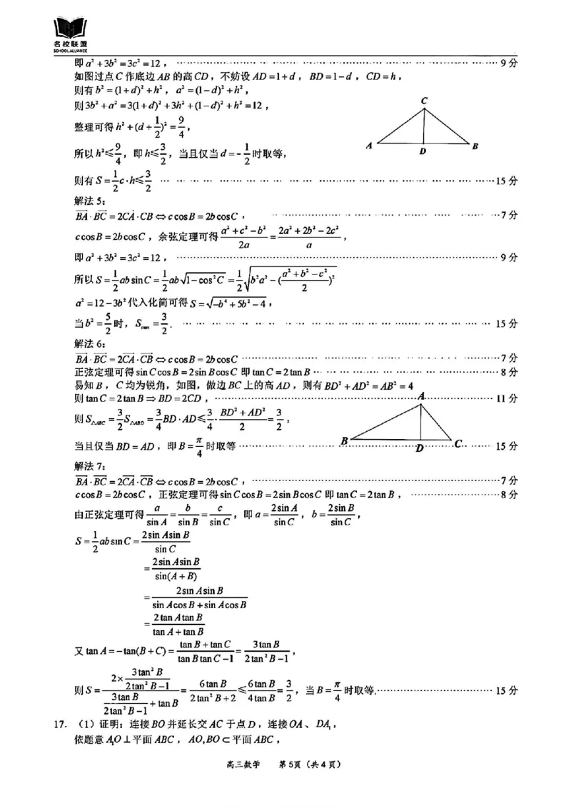 数学答案_2024-2025高三（6-6月题库）_2024年11月试卷_1119福建省名校联盟2024-2025学年高三上学期期中考试（全科）_福建省名校联盟2024-2025学年高三上学期期中考试数学