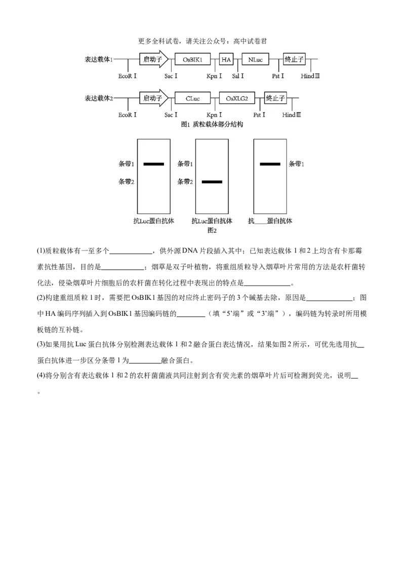 生物（九省联考考后提升卷，黑龙江、吉林）（原卷版）_2024年4月_其他_2024年1月新&ldquo;九省联考&rdquo;考后提升卷（原卷+解析）_2024年1月&ldquo;九省联考&rdquo;生物真题完全解读与考后提升