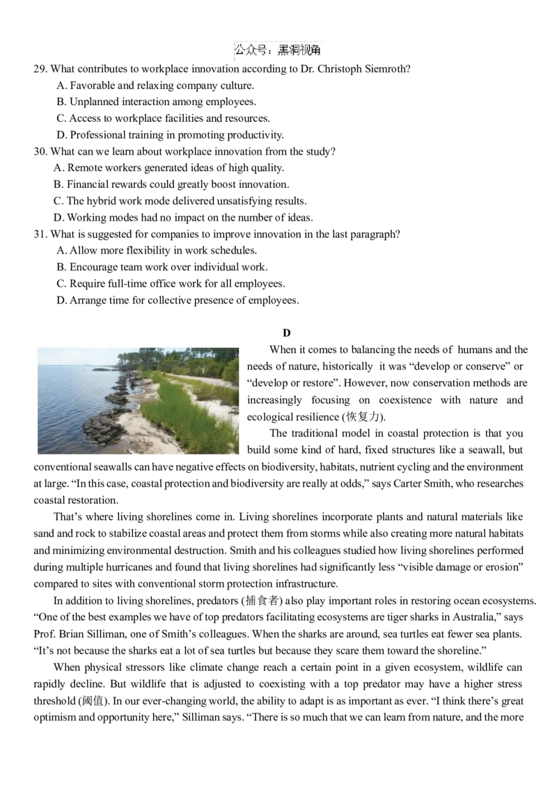 广东省华南师范大学附属中学2024-2025学年高三上学期11月综合测试（二）英语Word版含答案_2024-2025高三（6-6月题库）_2024年11月试卷