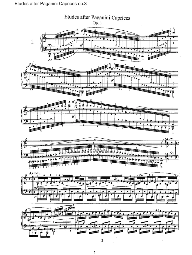 EtudesafterPaganiniCapricesop.3_一万首著名钢琴曲谱哈农贝多芬合集视频教学电子版高清无水印可打印_1古典钢琴知名音乐家谱_舒曼钢琴谱全集_RobertSchumann罗伯特&middot;舒曼(1810-1856)