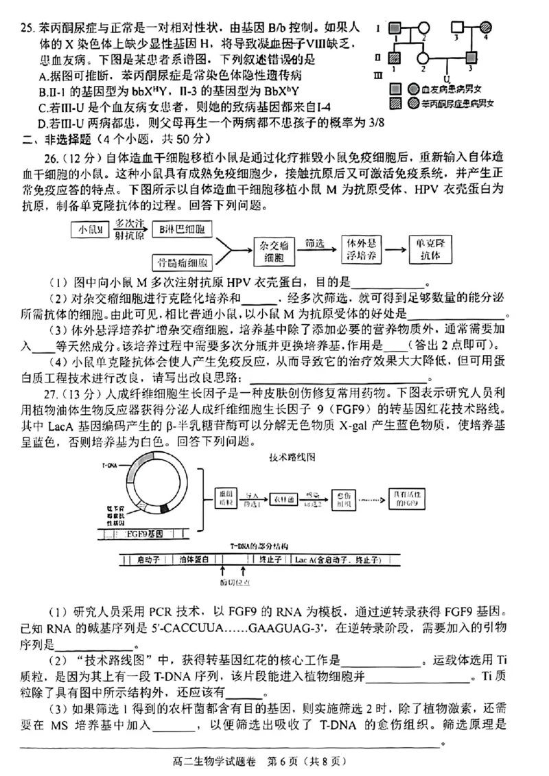 四川省绵阳市2023-2024学年高二下学期期末考试生物试题_2024-2025高二（7-7月题库）_2024年07月试卷_0712四川省绵阳市2023-2024学年高二下学期期末考试