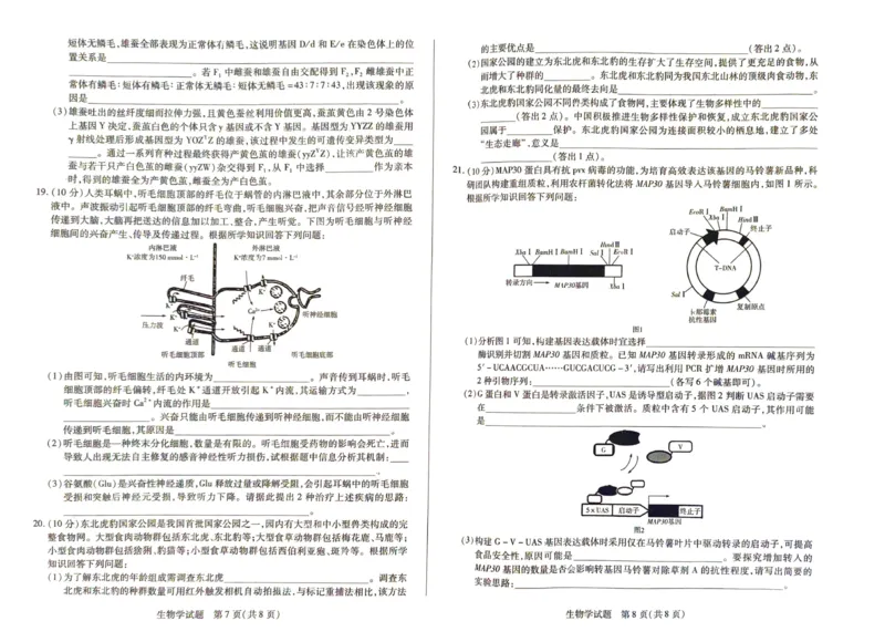 河南天一大联考2025届高三下学期阶段性测试（五）-生物试题_2024-2025高三（6-6月题库）_2025年02月试卷_0227河南天一大联考2025届高三下学期阶段性测试（五）
