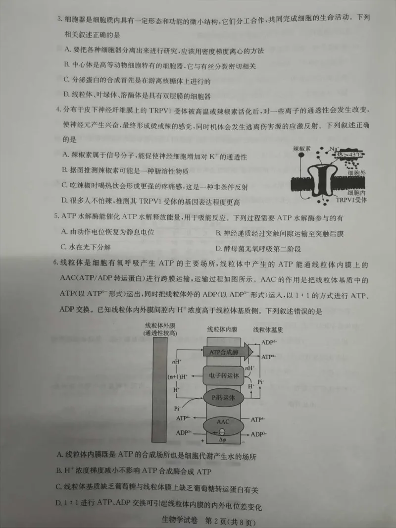湖北省高中名校联盟2024届高三第二次联合测评生物(1)_2023年11月_0211月合集_2024届湖北省高中名校联盟高三第二次联合测评_湖北省高中名校联盟2024届高三第二次联合测评生物