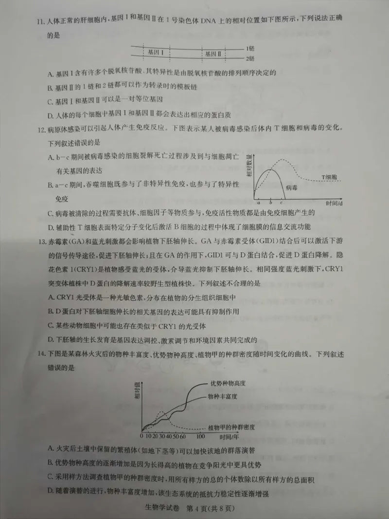 湖北省高中名校联盟2024届高三第二次联合测评生物(1)_2023年11月_0211月合集_2024届湖北省高中名校联盟高三第二次联合测评_湖北省高中名校联盟2024届高三第二次联合测评生物