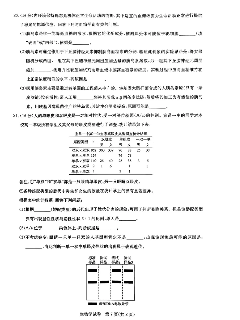 湖北省高中名校联盟2024届高三第二次联合测评生物(1)_2023年11月_0211月合集_2024届湖北省高中名校联盟高三第二次联合测评_湖北省高中名校联盟2024届高三第二次联合测评生物