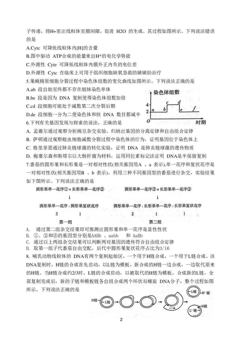 山东省潍坊市2024届高三上学期期中考试生物(1)_2023年11月_01每日更新_23号_2024届山东省潍坊市高三上学期期中考试