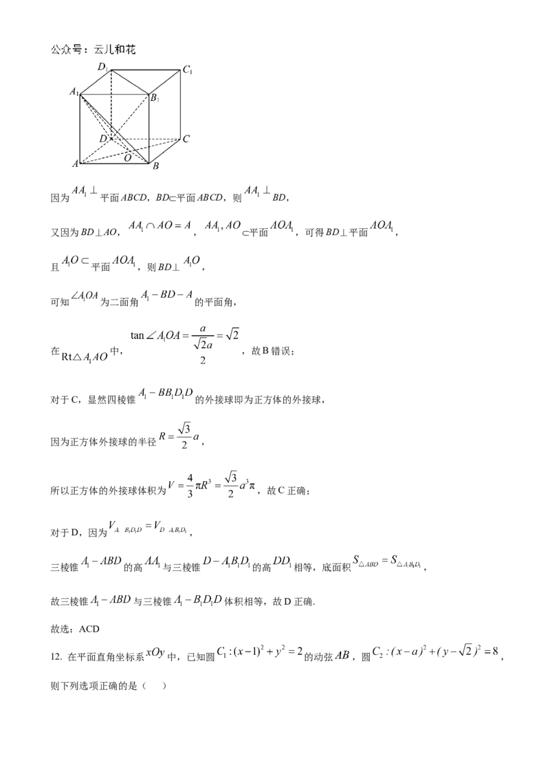 河南省信阳高级中学北湖校区2024-2025学年高二上学期期中考试数学Word版含解析_2024-2025高二（7-7月题库）_2024年11月试卷