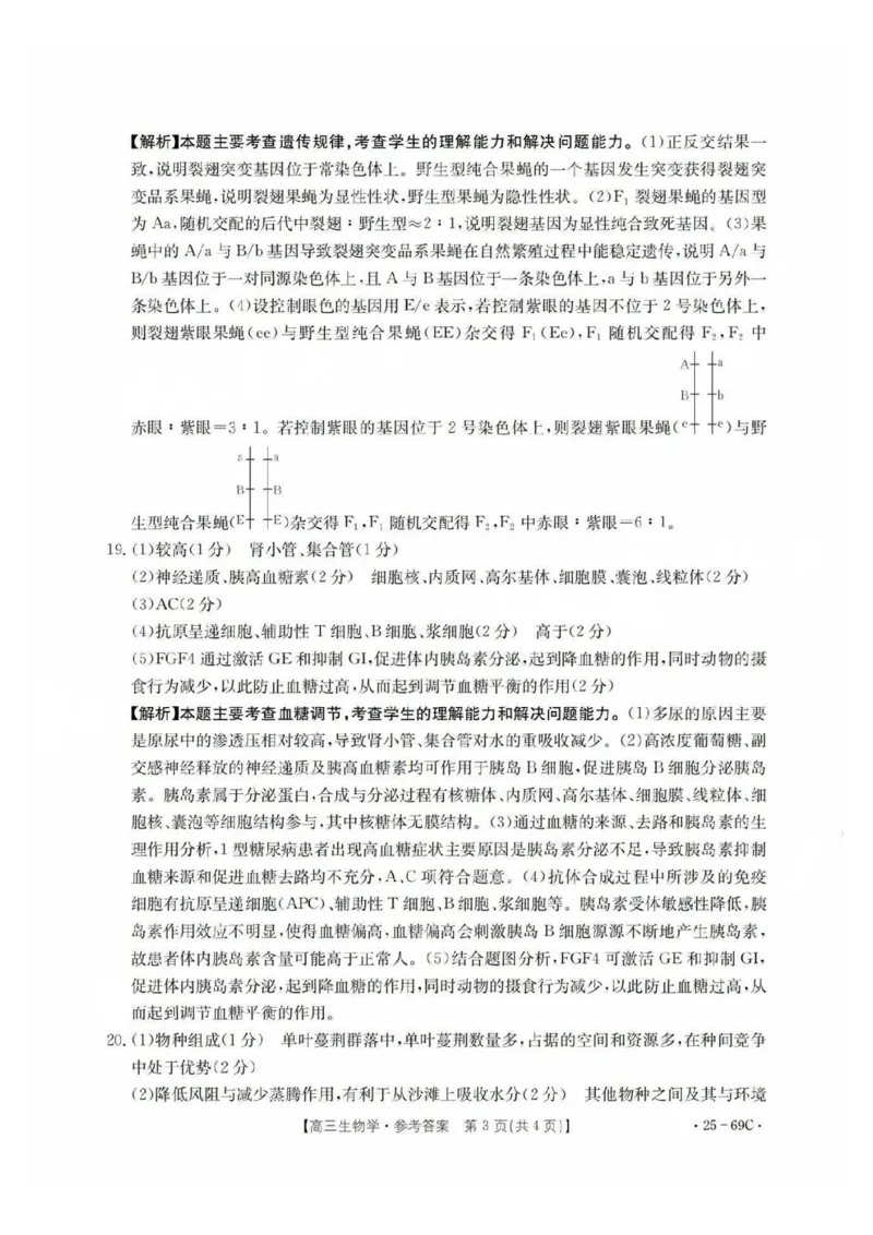 广东2025届高三10月金太阳联考生物答案_2024-2025高三（6-6月题库）_2024年10月试卷_1030广东省金太阳2025届高三10月大联考（25-69C）
