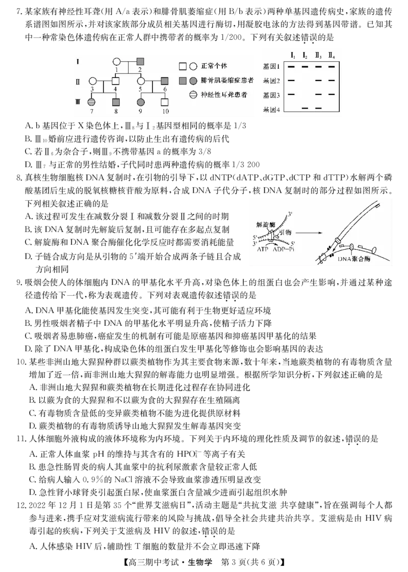 湖北省宜昌市协作体2023-2024学年高三上学期期中考试生物(1)_2023年11月_0211月合集_2024届湖北省宜昌市协作体高三上学期期中考试_湖北省宜昌市协作体2024届高三上学期期中考试生物