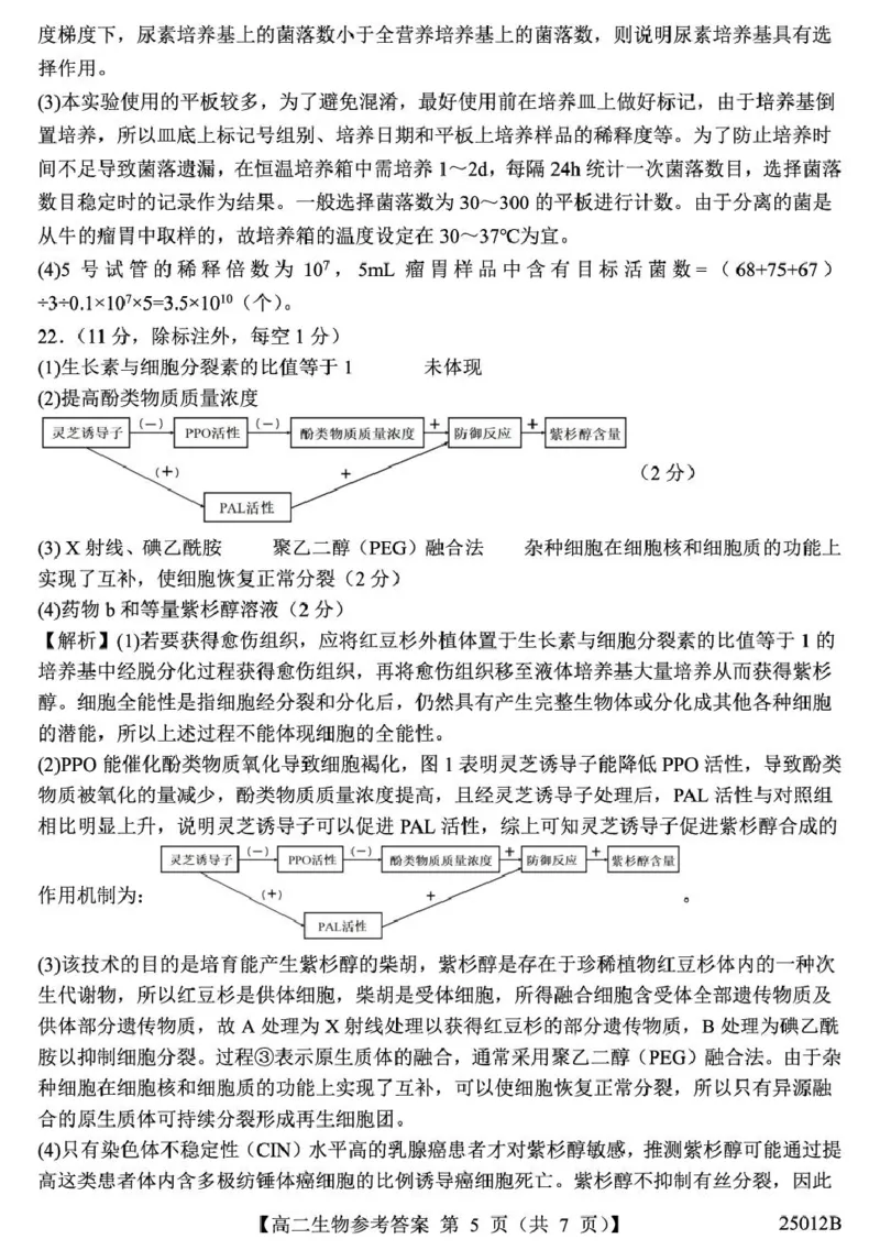 山东省重点高中2024-2025学年高二下学期4月大联考生物答案（图片版，含解析）_2024-2025高二（7-7月题库）_2025年04月试卷(1)_0415山东省重点高中2024-2025学年高二下学期4月大联考