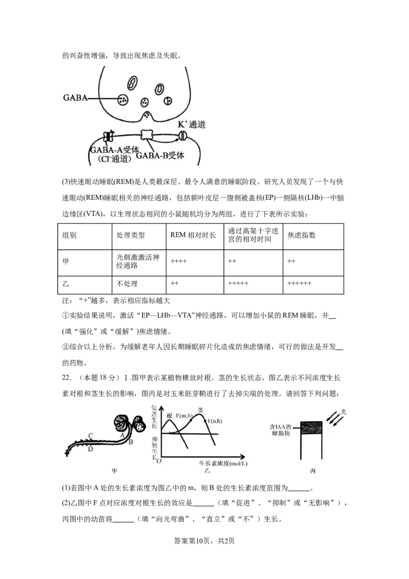 湖北省黄冈市黄梅县育才高级中学2025-2026学年高二上学期12月月考生物试题_2024-2025高二（7-7月题库）_2026年1月高二