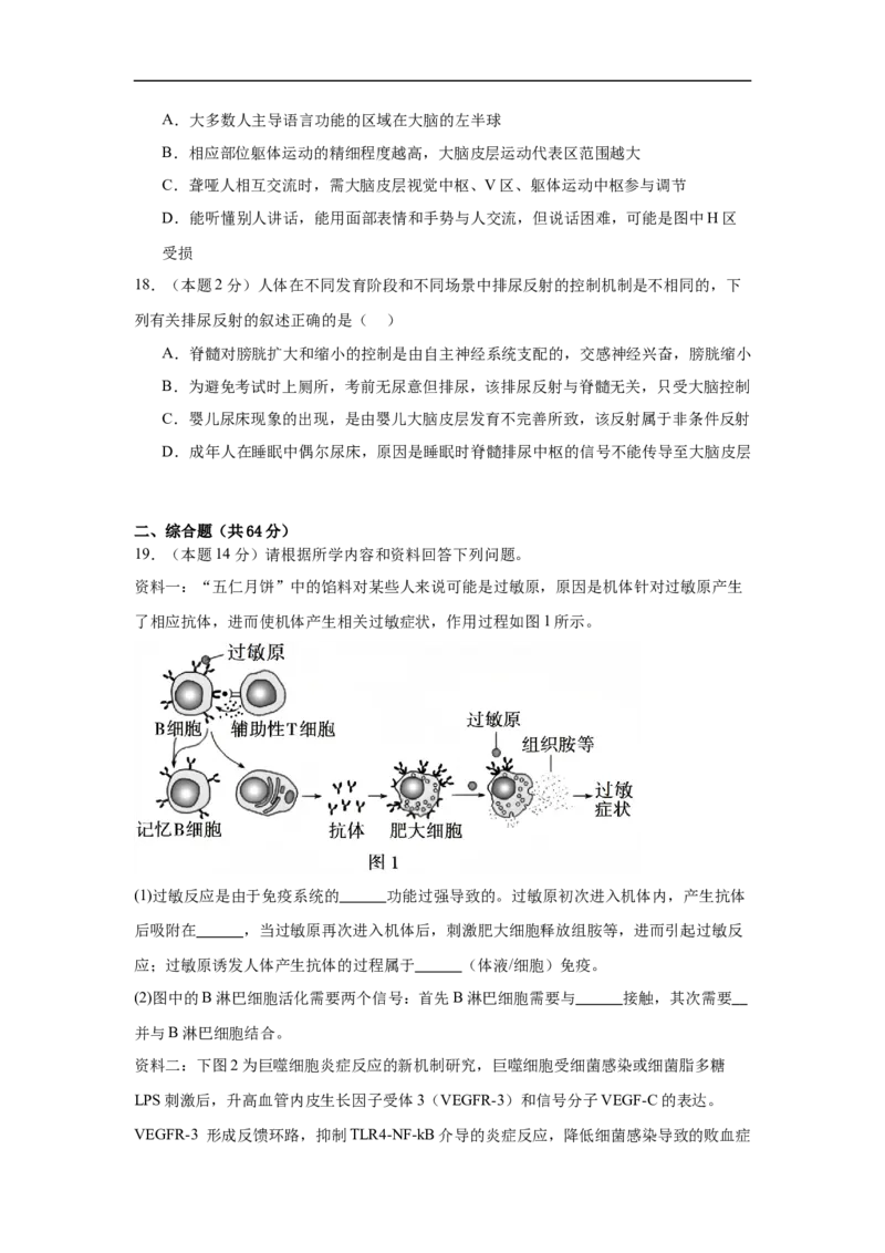 湖北省黄冈市黄梅县育才高级中学2025-2026学年高二上学期12月月考生物试题_2024-2025高二（7-7月题库）_2026年1月高二
