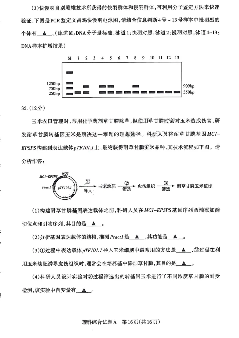 理综试题_2024年4月_01按日期_18号_2024届山西省级名校联盟二（冲刺卷）_2024年山西省际名校联考二(冲刺卷）理科综合试题