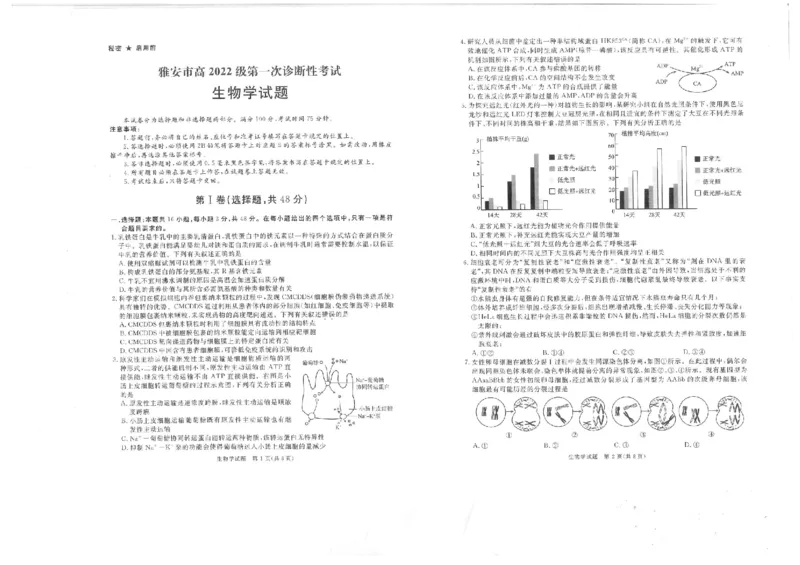四川省九市2024-2025学年高三上学期（12月）第一次诊断性考试生物试卷+答案_2024-2025高三（6-6月题库）_2024年12月试卷