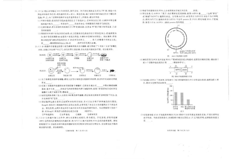 四川省九市2024-2025学年高三上学期（12月）第一次诊断性考试生物试卷+答案_2024-2025高三（6-6月题库）_2024年12月试卷