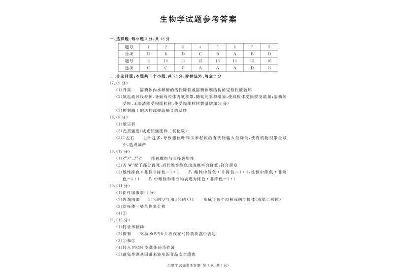 四川省九市2024-2025学年高三上学期（12月）第一次诊断性考试生物试卷+答案_2024-2025高三（6-6月题库）_2024年12月试卷