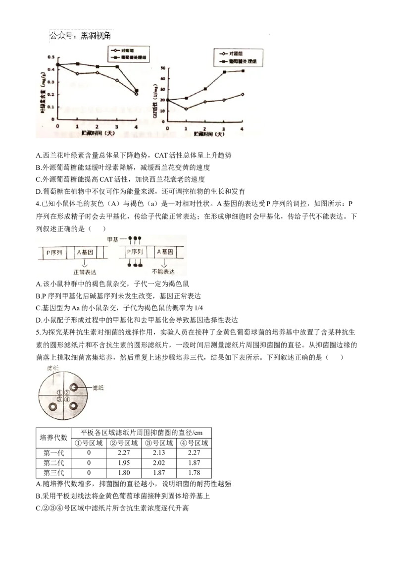 江西省景德镇市高三第一次质量检测生物试题_2024-2025高三（6-6月题库）_2024年11月试卷_1113江西省景德镇市2025届高三第一次质量检测（全科）