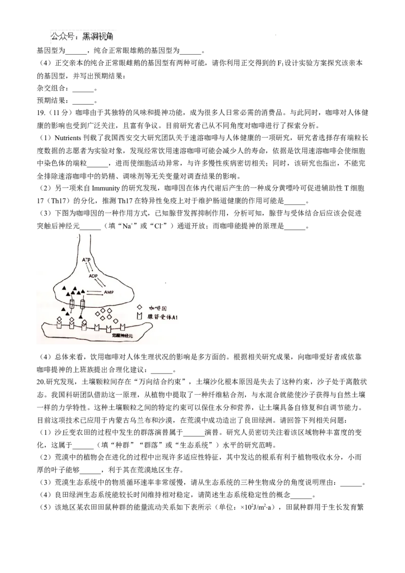 江西省景德镇市高三第一次质量检测生物试题_2024-2025高三（6-6月题库）_2024年11月试卷_1113江西省景德镇市2025届高三第一次质量检测（全科）