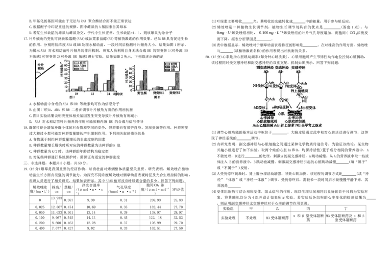 河北省保定市十县一中2024~2025学年高三上学期12月联考生物试题_2024-2025高三（6-6月题库）_2024年12月试卷_1224河北省保定市2025届高三上学期12月金太阳联考（24-193C）