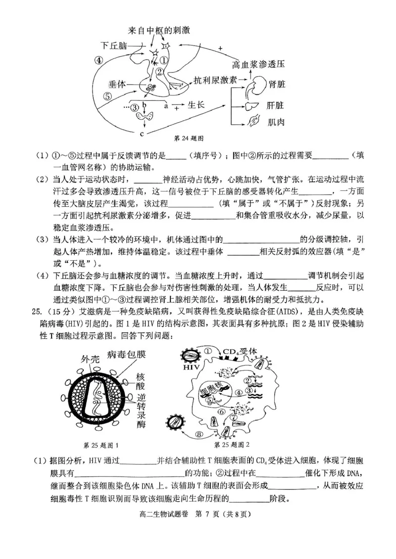 浙江省杭州市2024-2025学年高二上学期期末生物试题_2024-2025高二（7-7月题库）_2025年02月试卷_0226浙江省杭州市2024-2025学年高二上学期1月期末考试