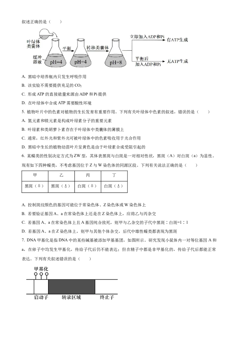 湖北省武汉市华中师范大学第一附属中学2023-2024学年高三期中生物试题（原卷版）(1)_2023年11月_0211月合集_2024届湖北省华中师范大学第一附属中学高三上学期11月期中