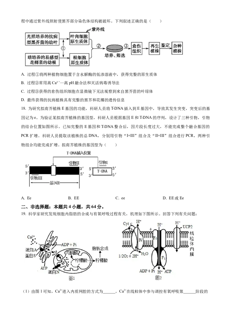 湖北省武汉市华中师范大学第一附属中学2023-2024学年高三期中生物试题（原卷版）(1)_2023年11月_0211月合集_2024届湖北省华中师范大学第一附属中学高三上学期11月期中
